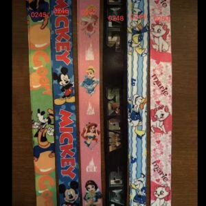 Disney Lanyards 48